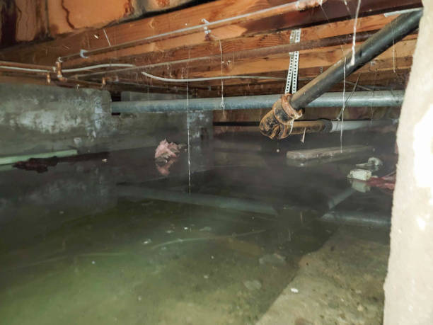 Best 24-hour water damage restoration  in Montecito, CA