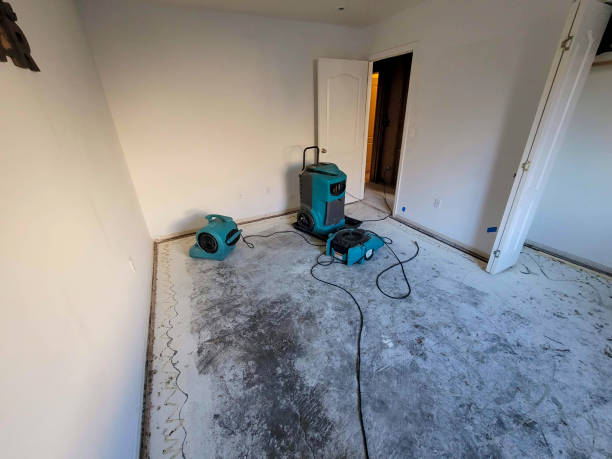 Best Water damage contractors near me  in Montecito, CA