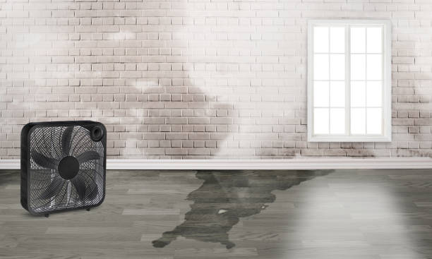 Best Flood restoration services  in Montecito, CA