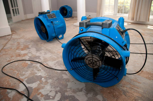 Best Carpet water damage restoration  in Montecito, CA
