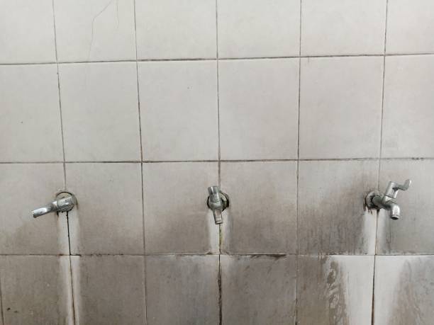 Best Flood damage cleanup  in Montecito, CA