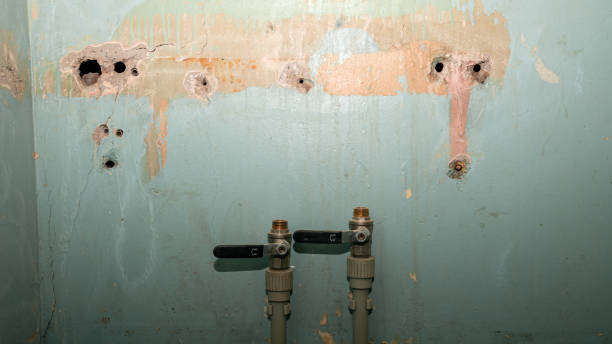 Best Water damage restoration process  in Montecito, CA