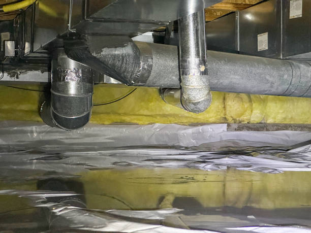 Best Professional water damage repair  in Montecito, CA