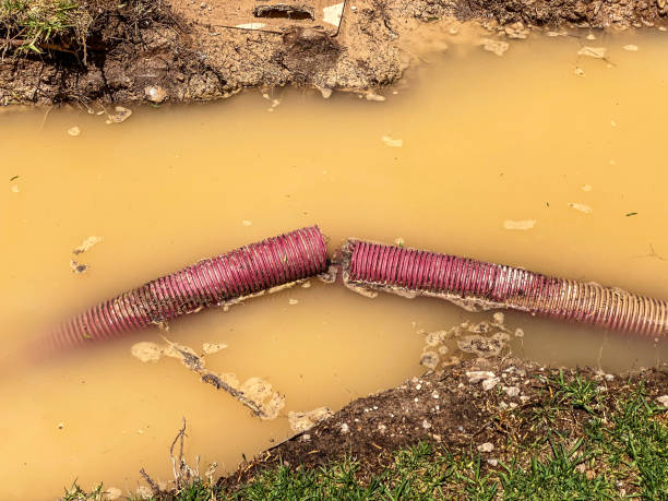 Best Carpet water damage restoration  in Montecito, CA