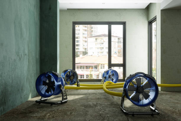 Best Water damage restoration mold remediation  in Montecito, CA